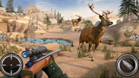 模拟丛林猎杀 1.0  2