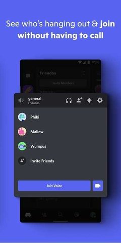 discord 295.16 官方版 3