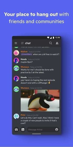 discord 295.16 官方版 2